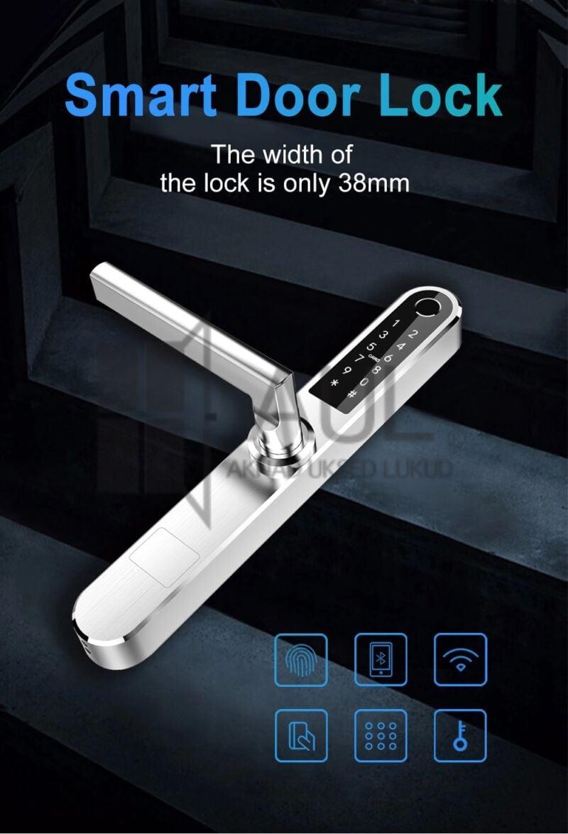 ,IP55
