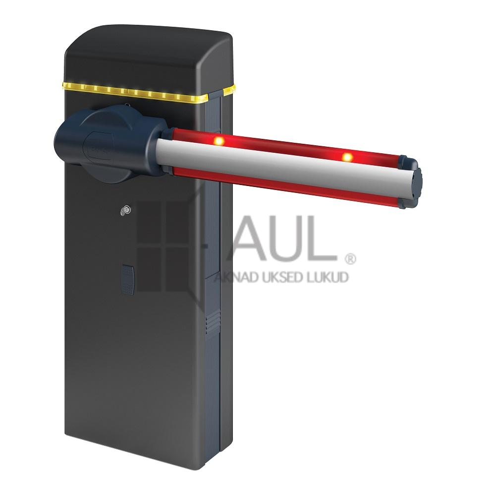 tõkkepuu michelangelo