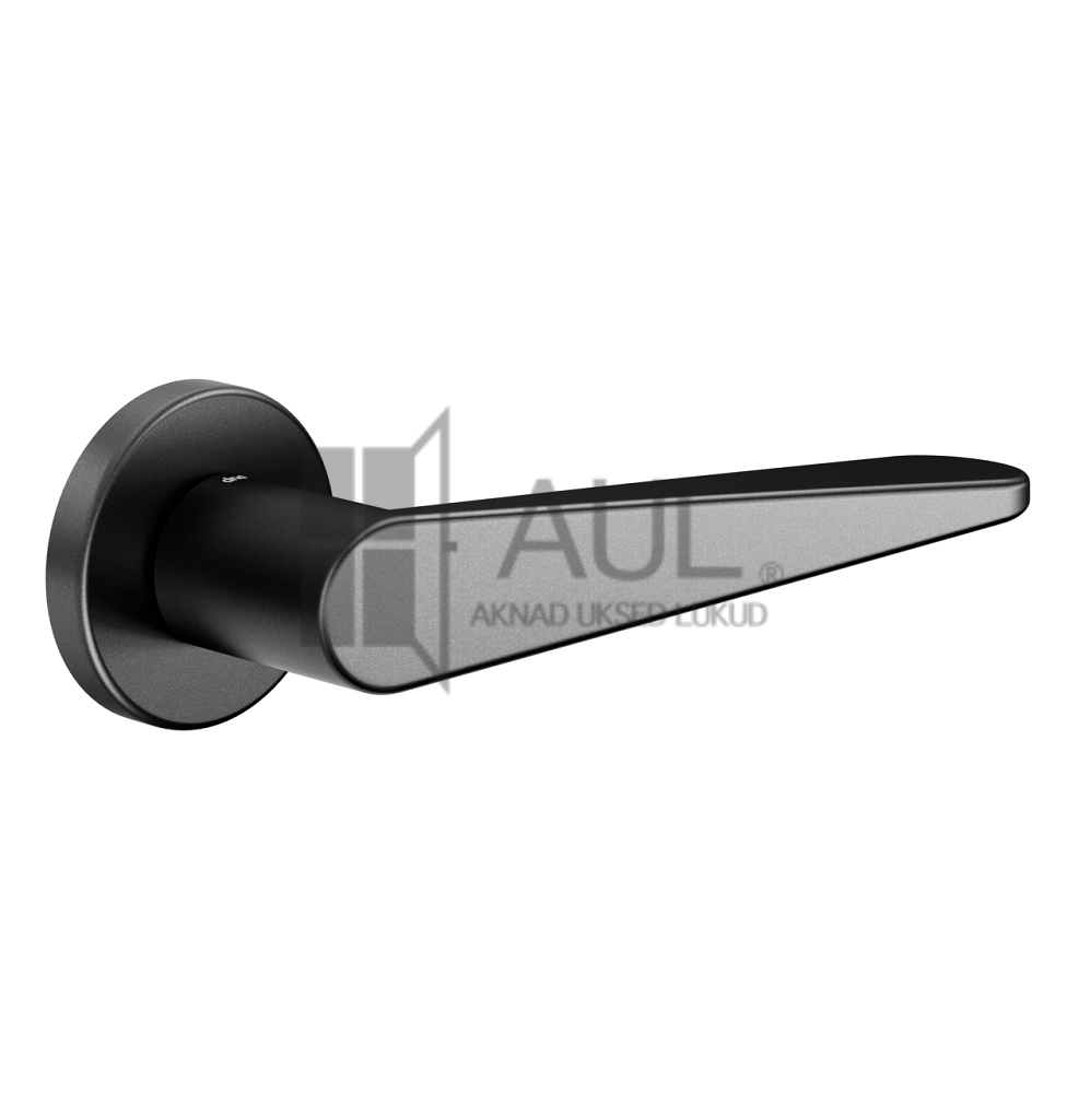 DND IKI zan AULPAIGALDUS