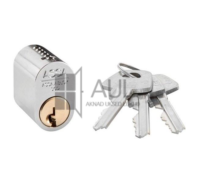 SÜDAMIK ASSA 1301 KROOM aulshop